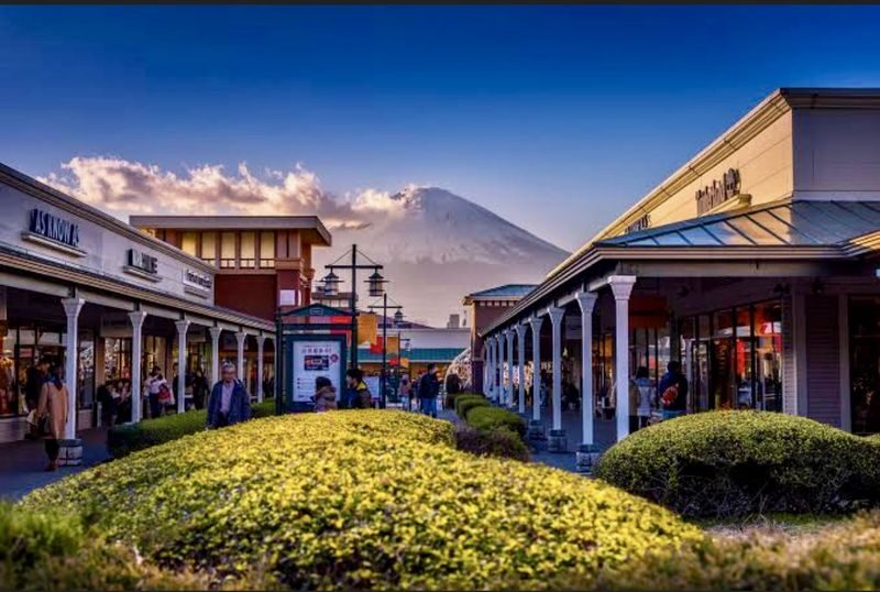 Tokyo Hakone & Gotemba Premium Outlets Full-Day Private Tour - Traffic, timing and the benefit of a driver