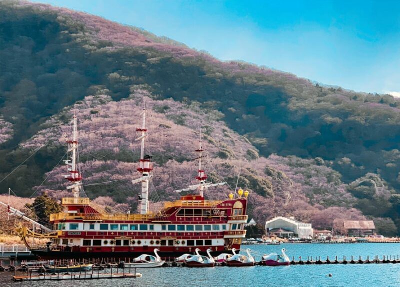 Tokyo: Hakone Private Day Trip with English Speaking Driver - A Detailed Look at the Hakone Private Day Trip