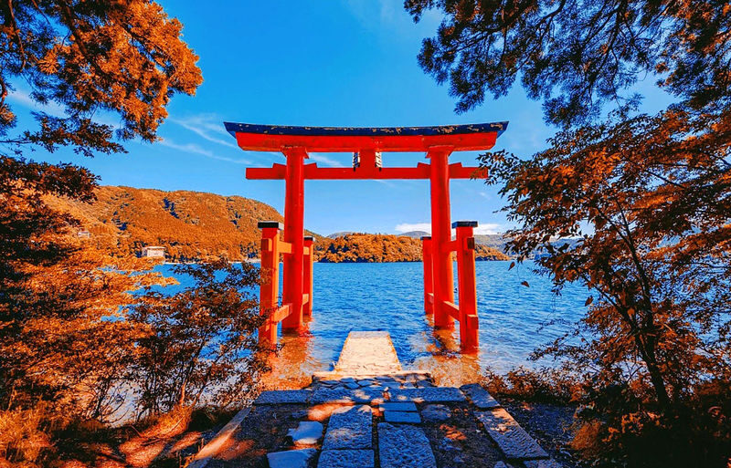 Tokyo Hakone Shrine & Atami Fireworks Full-Day Romantic Tour - The price and what value means here