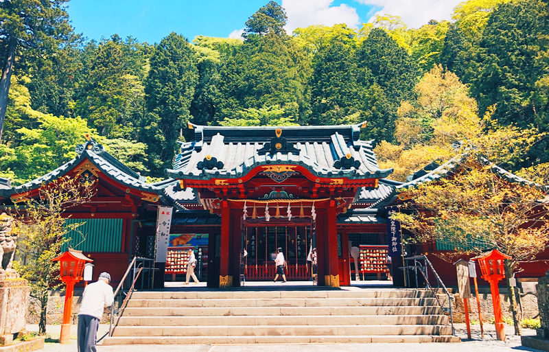 Tokyo Hakone Shrine & Atami Fireworks Full-Day Romantic Tour - Who should choose this tour
