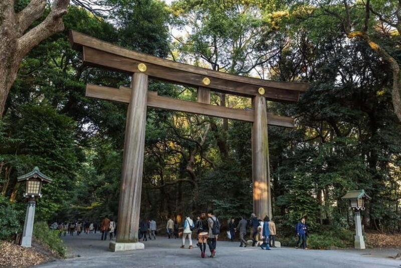 Tokyo: Half-Day Afternoon Small Group Tour - An In-Depth Look at the Tour Experience