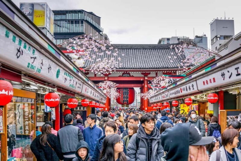 Tokyo: Half-Day Morning Small Group Tour - Tokyo: Half-Day Morning Small Group Tour — A Practical Look at Japan’s Capital