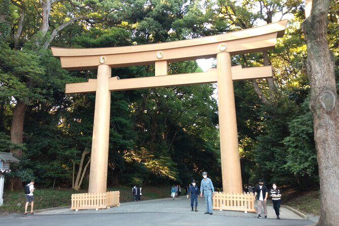 Tokyo Half Day Private Tour / Customization & Hotel Gathering OK! - Key Points