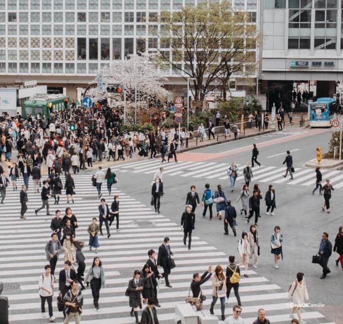 Tokyo, half day : private tour with an expert ! - Exploring Tokyo in Half a Day: A Practical Guide