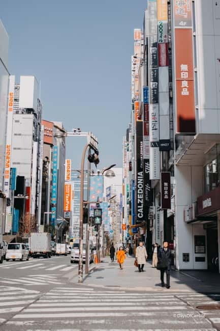 Tokyo, half day : private tour with an expert ! - Final Thoughts