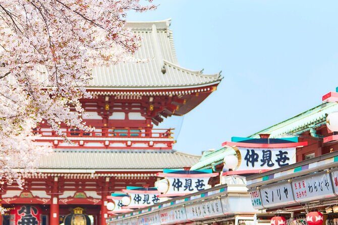 Tokyo : Hand-Roll Sushi Class, Skytree view & Asakusa Tour - Key Points