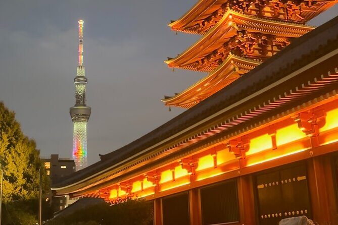 Tokyo: Haneda AirportLuxury Private Transfer - What the Reviews Reveal