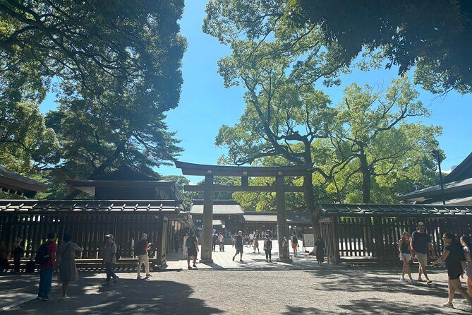 Tokyo Harajuku Walking Tour Meiji Jingu Yoyogi Park and More - The Practical Details: What You Need to Know