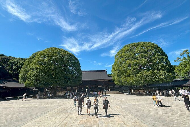 Tokyo Harajuku Walking Tour Meiji Jingu Yoyogi Park and More - Final Thoughts: Who Will Benefit Most?