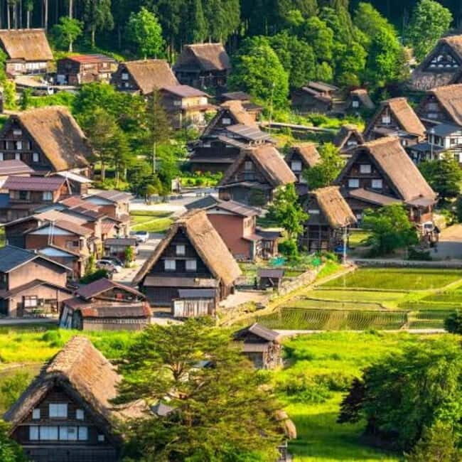 Tokyo: Hida Takayama & Shirakawa-go Day Trip with Guide - Who Will Enjoy This Tour?