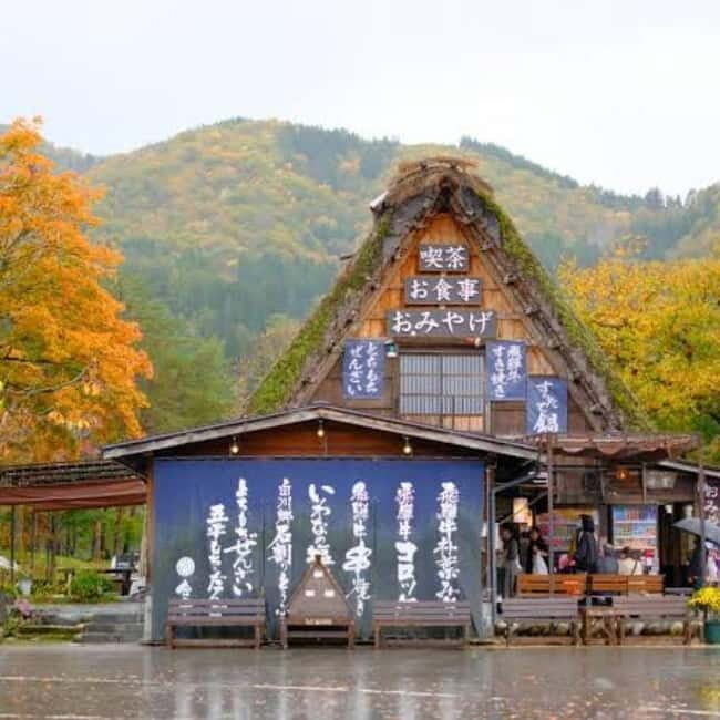 Tokyo: Hida Takayama & Shirakawa-go Day Trip with Guide - FAQs