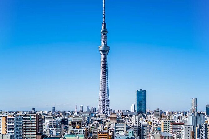 Tokyo Highlights: 1-Day Private Van Tour with Hotel Pick-Up - Tokyo Highlights: 1-Day Private Van Tour with Hotel Pick-Up