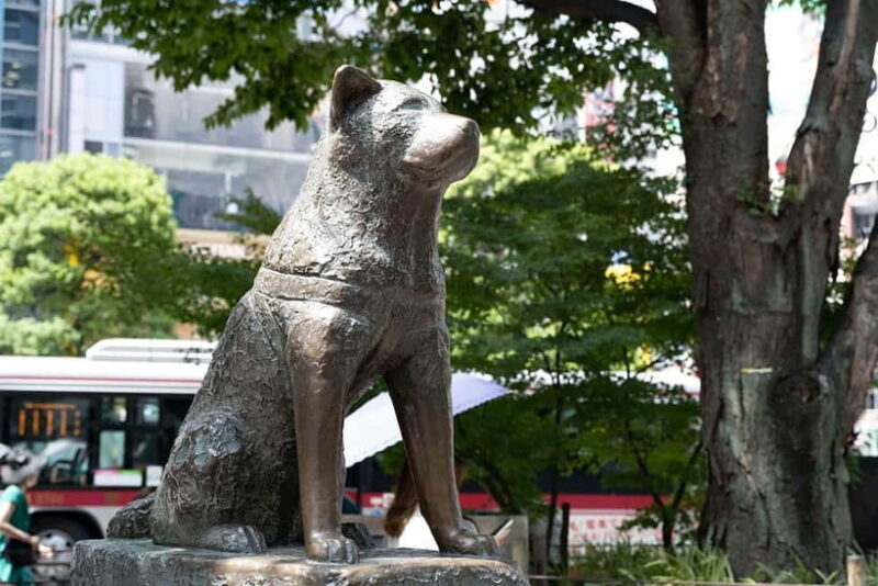 Tokyo Highlights Full-Day Private Tour with Hotel Pickup - Who Will Love This Tour?