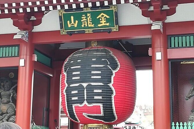 Tokyo highlights, Meiji shrine, Asakusa, Ueno & Tokyo National Museum - Experience Tokyo Like a Local: A Deep Dive into the Highlights with a Private Guide