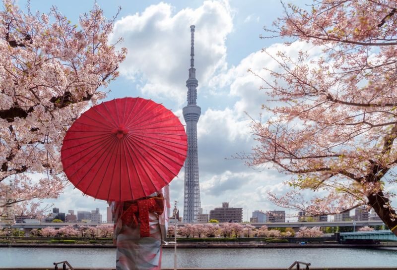 Tokyo Highlights Private Day Trip - A private ride across a very large city