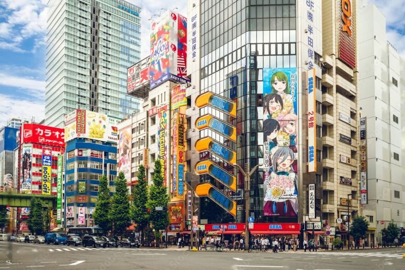 Tokyo Highlights Private Day Trip - Senso-ji and the lanes of Asakusa