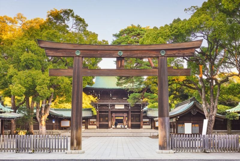 Tokyo Highlights Private Day Trip - Meiji Shrine, Harajuku and Shibuya