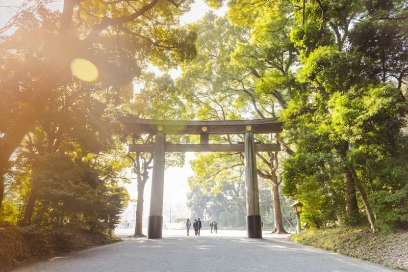 Tokyo Highlights Private Day Trip - What ten hours can realistically cover