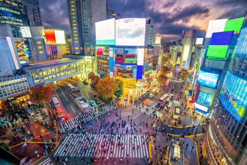 Tokyo Highlights Private Day Trip - Who will get the most from this tour
