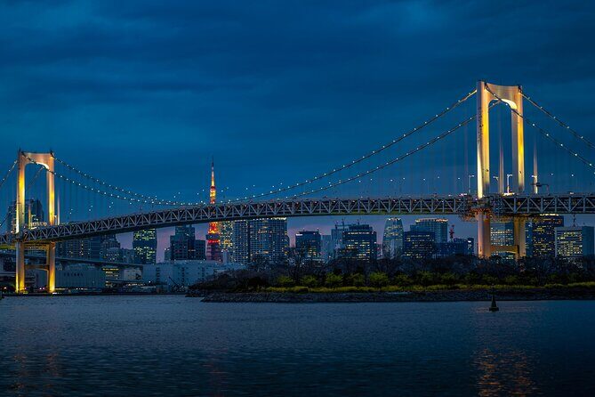 Tokyo Highlights Private Full Day City Tour With English Guide - A Closer Look at the Tokyo Highlights Private Tour