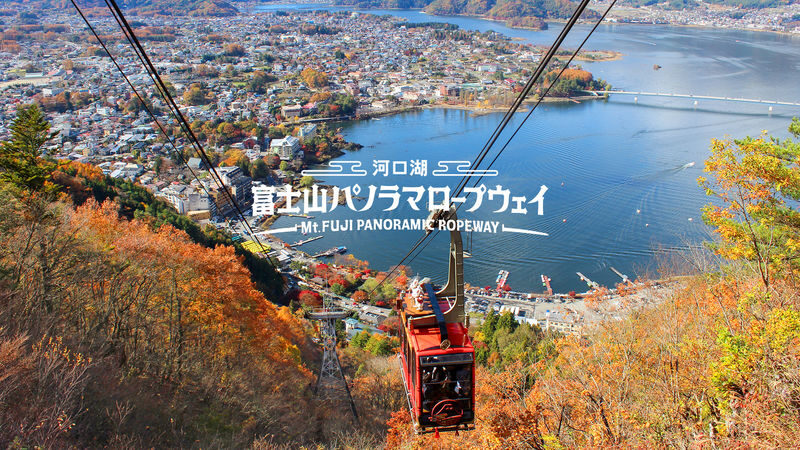 Tokyo Hikawa Clock Shop & Mt. Fuji Full-Day Private Tour - A long day built around Mount Fuji
