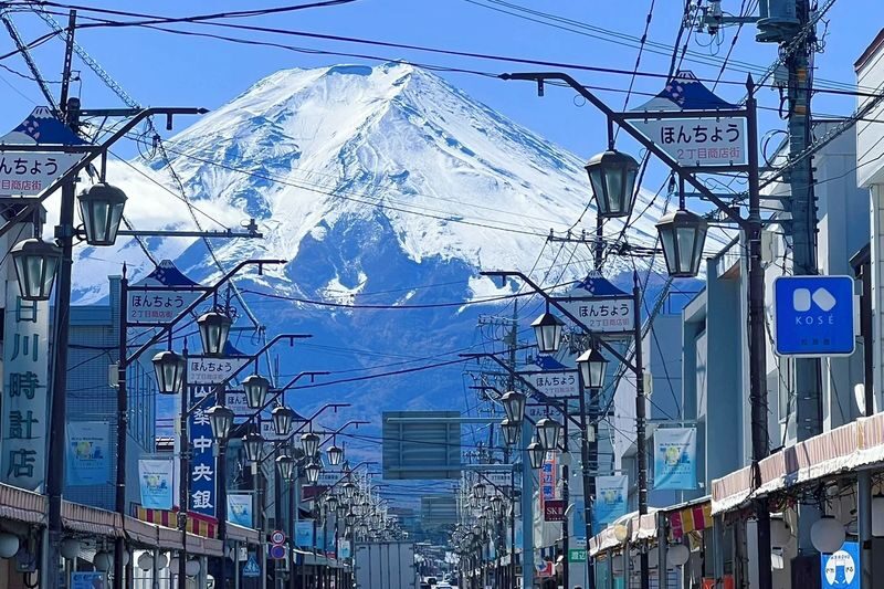 Tokyo Hikawa Clock Shop & Mt. Fuji Full-Day Private Tour - The driver makes or breaks the day