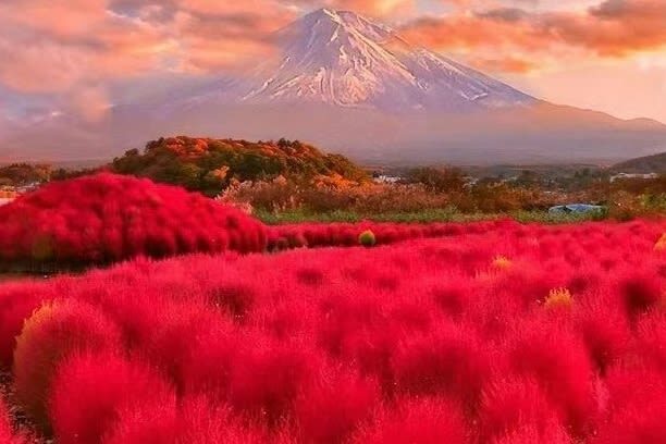 Tokyo Hikawa Clock Shop & Mt. Fuji Full-Day Private Tour - What the starting price buys you