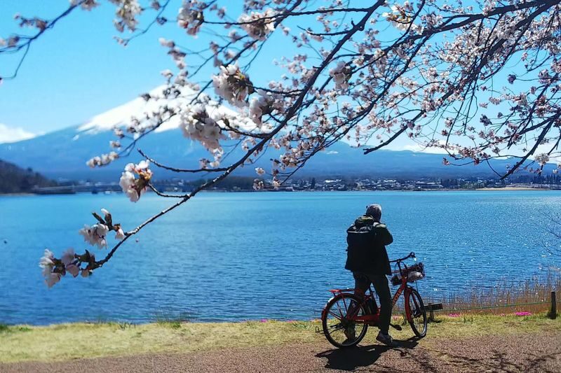 Tokyo Hikawa Clock Shop & Mt. Fuji Full-Day Private Tour - Should you book this Fuji day trip?