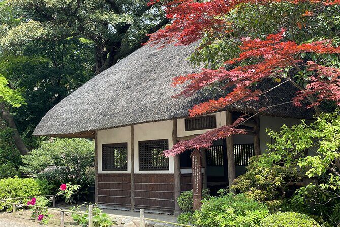 Tokyo Historian and Photographer Private Tour - Key Points