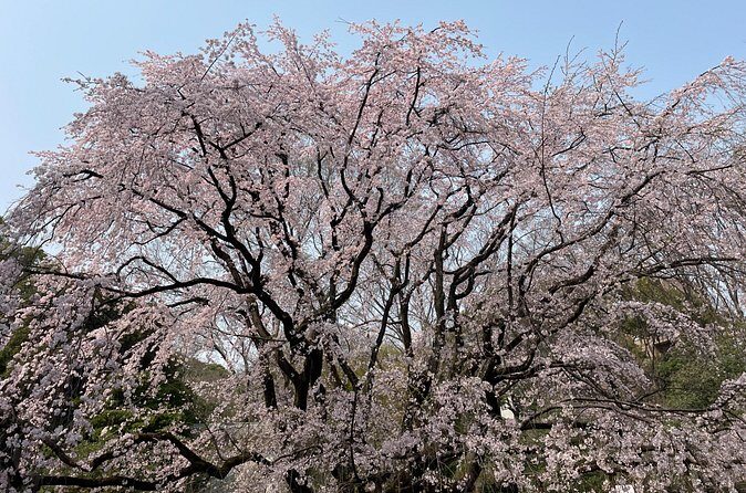 Tokyo Historian and Photographer Private Tour - Frequently Asked Questions