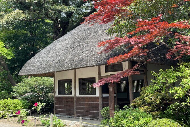 Tokyo Historian Private Tour - Exploring Tokyo with a Knowledgeable Guide