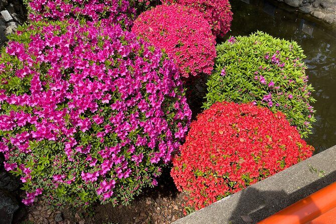 Tokyo Historian Private Tour - FAQ