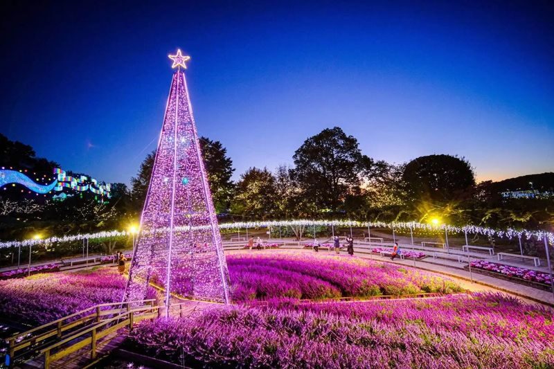 Tokyo Hitachi Seaside & Ashikaga Flower Park with Nemophila & Wisteria - Two gardens, one spring outing