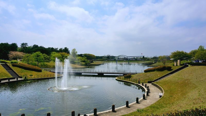 Tokyo Hitachi Seaside & Ashikaga Flower Park with Nemophila & Wisteria - Should you book it?