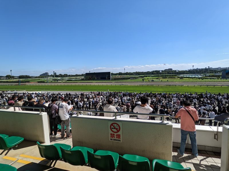 Tokyo Horse Racing Experience with Local Fan - Make room for karaage, yakitori, and a drink