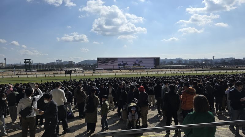 Tokyo Horse Racing Experience with Local Fan - Meet-up details, cash, and a little planning