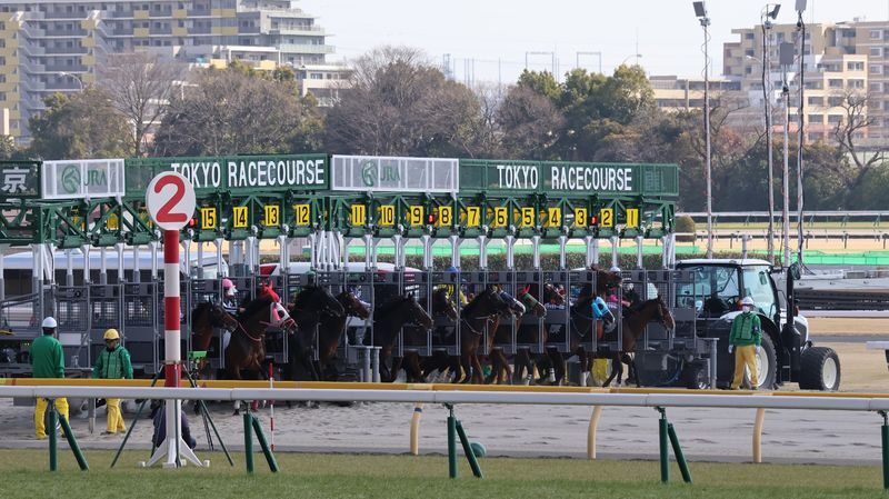 Tokyo Horse Racing Experience with Local Fan - Who will enjoy this racecourse outing?