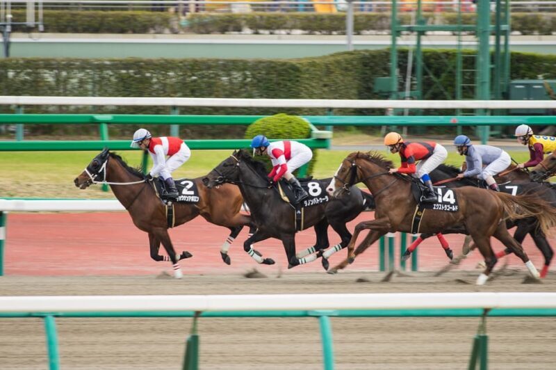 Tokyo: Horse Racing Tour with Local Fan - FAQ