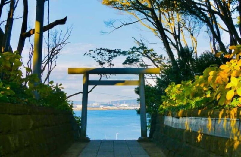 Tokyo: Ibaraki Day Trip with Hitachi Park & Fruit Picking - Exploring Ibaraki: A Well-Balanced Day Trip from Tokyo