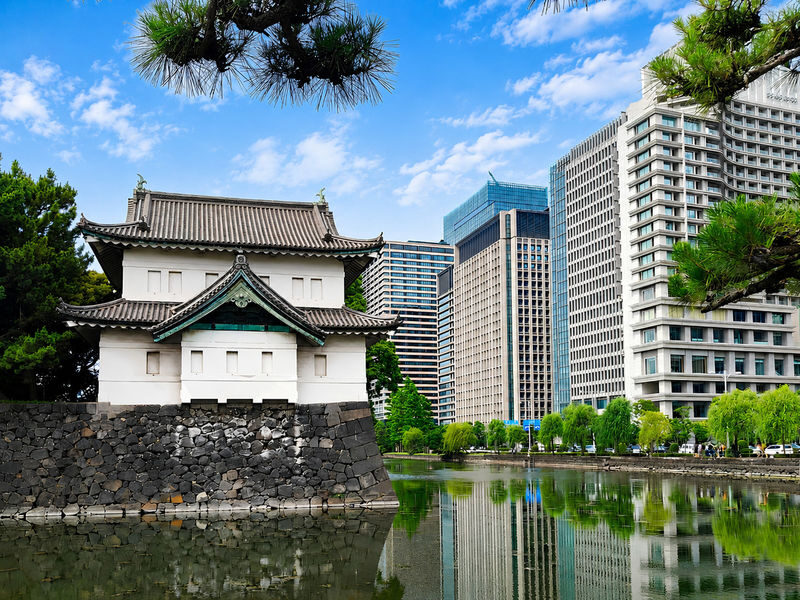 Tokyo Imperial Palace and Edo castle Historical Guided Walking Tour - The East Gardens, where Tokyo’s castle story begins