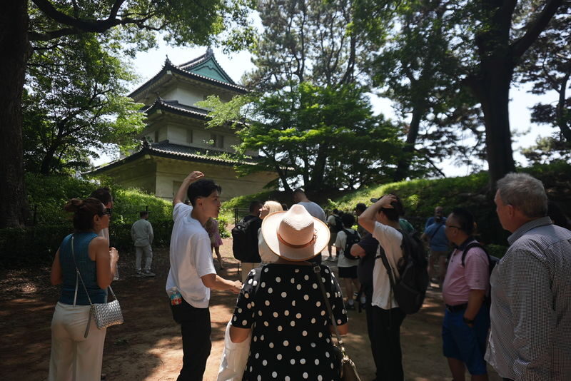 Tokyo Imperial Palace and Edo castle Historical Guided Walking Tour - Who should book this palace garden walk?