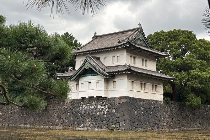 Tokyo: Imperial Palace and Edo Castle Ruins Cultural Walking Tour - Discover Tokyo’s Hidden Past and Timeless Elegance