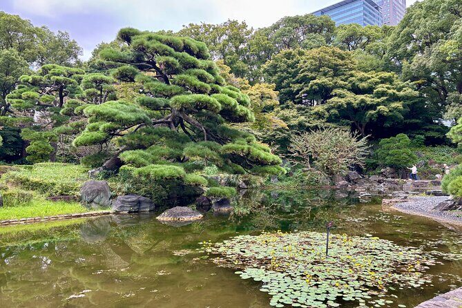 Tokyo: Imperial Palace and Edo Castle Ruins Cultural Walking Tour - Frequently Asked Questions