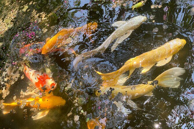 Tokyo Imperial Palace Historical Walk and Food Tasting Tour - The Sum Up