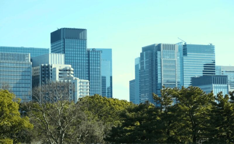 Tokyo: Imperial Palace Japanese History Walking Tour - Who Will Love This Tour?