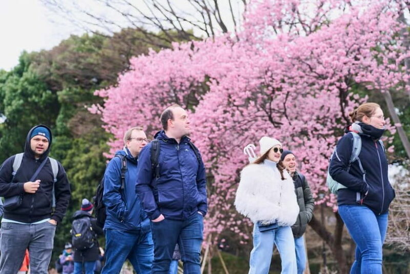 Tokyo: Imperial Palace & Tokyo Castle History Walking Tour - A Close Look at the Tour Experience