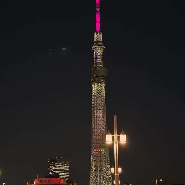 Tokyo in Frames: Instagram-Worthy Private Full-Day City Tour - FAQ