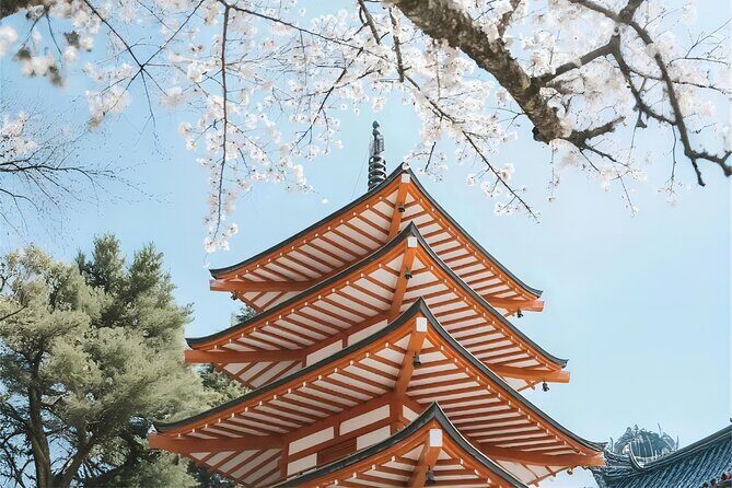 Tokyo: Instagram-Worthy Mt Fuji & Lake Kawaguchiko Day Trip - Who Will Appreciate This Tour?