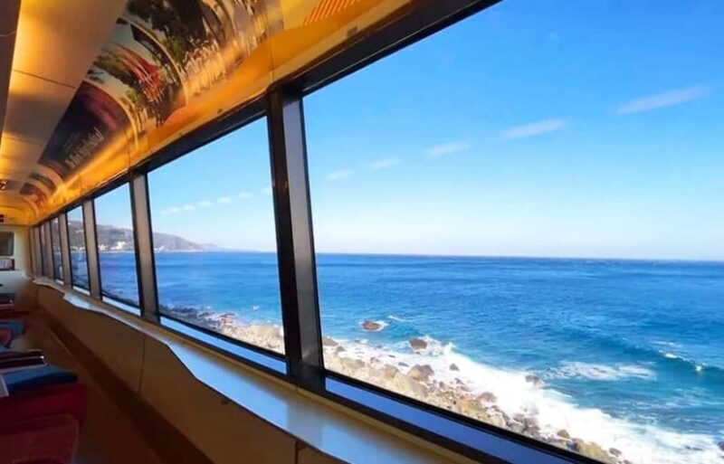 Tokyo: Izu Scenic Oceanview Train, Volcano, Coast Day Trip - An In-Depth Look at the Izu Scenic Oceanview Train, Volcano, and Coast Day Trip