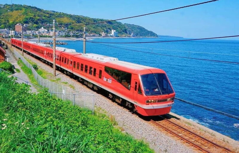 Tokyo: Izu Scenic Oceanview Train, Volcano, Coast Day Trip - Who Is This Tour Best For?